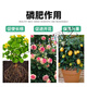 Phosphate fertilizer, superphosphate fertilizer for growing vegetables and flowers, fertilizer for fruit trees, flowers and agricultural crops, general flower-stimulating calcium phosphate fertilizer, phosphate fertilizer 50Jin Jin is equal to 0.5kg