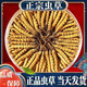 
Authentic Cordyceps sinensis first period selected nourishing dry goods two gram gift boxes for gifts and nutritious Cordyceps tonics, authentic Cordyceps sinensis in Tibetan areas, 10 gram trial packages