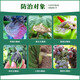 Hulian Huifei 40% pyrimethanamine suspension cucumber gray mold pesticide fungicide 1000g*12 bottles whole box