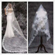 Zi Jiafu Proposal Veil Bridal Main Veil Large Lace Photography Main Wedding Dress Internet Celebrity Super Fairy Long Tail Wedding White Lace White 2.5-3 meters