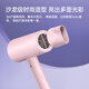 FLYCO Hair Dryer Portable Home Dormitory Student High Power Hair Dryer Quick Drying Foldable for Girlfriend 1800W Quick Drying Negative Ion FH6278-Light Pink