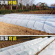 Runhuanian white transparent agricultural thickened small shed special film vegetable field insulation film winter 2.5 meters wide 5 wires thick small shed film 50 meters long