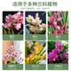 Captain's Garden Orchid Special Clivia Phalaenopsis Planting Material High-end Orchid Soil Granular Fertilizer High-end Pine Bark Orchid High-end Version 15 Liters (Pine Bark + Orchid Stone)