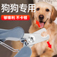 JCZS German Dog Nail Scissors Special for Cat Teddy Golden Retriever Labrador Small Medium Large Dog Pet Finger Romantic Sakura Large Size 157*52*25mm