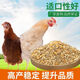 Factory direct sales 80 Jin Jin equals 0.5 kg layer hen feed for hens, egg laying broiler fattening pellets full price for nesting and breeding, 5 Jin Jin equals 0.5 kg layer hen feed