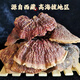 Pangdonglai calidad Ganoderma Lucidum Regalo Regalo Dry Linzhi Red Zhi Gold Edge Powder Powder Powder 500G Gangling Lucidum Regalo de regalo (500 g)