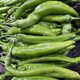 Spicy Spicy Pepper Seeds, Golden Spicy Green Peppers, Pig Intestine Chili Seeds, Potted Vegetable Seeds for Garden Fields and Balconies, Horn Peppers, Slightly Spicy, Buy 3 Get 2 Free, About 1,500 Capsules, 5 Packs