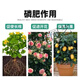 Tianhua Phosphate Fertilizer Flower Superphosphate Flower Fertilizer Vegetable Fertilizer Root Strengthening Fertilizer Soil Fertilizer Chemical Fertilizer Vegetable Farmer Phosphate Fertilizer Granules 20Jin Jin is equal to 0.5kg divided into 2 packages