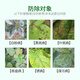 Lane Ping'an 50% carbendazim fungicide flower rose succulent bactericide black spots white powder yellow leaves black leaves anther universal type