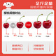 Jingxiansheng Domestic Cherry Cherries J Grade 1Jin Jin is equal to 0.5kg, single fruit 8g, fresh fruit, sweet and sour taste