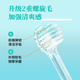Huibaishi small wide-head toothbrush with medium hair zero white teeth adult gum protection imported from Japan 2 jelly-colored random colors