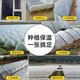 Runhuanian white transparent agricultural thickened small shed special film vegetable field insulation film winter 2.5 meters wide 5 wires thick small shed film 50 meters long
