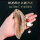 Dingjing hairpin ancient style hairpin comb female horn comb gift box birthday gift for girls to give to girlfriends high-end niche practical TY359 horn comb + acacia hairpin set