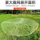 Mengda Fishing Net Hand Throwing Fishing Net Large Frisbee Disc Hand Throwing Fishing Easy Throwing Net Swinging Catching Automatic Fishing Net Anti-hanging Chain 3.0 Meters 600 Type One Finger
