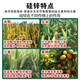 Silicon zinc fertilizer foliar fertilizer for wheat, rice and corn to increase yield, resist lodging and promote tillering, general water-soluble fertilizer for fruit trees and vegetables, Australian brand 1550g*12 bottles