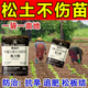 Deep plowing to 5 meters, loosening essence, loosening fertilizer, soil conditioner, saline-alkali land conditioning, drought loosening and anti-loosening agent, 1 bag per acre, powerful loosening essence