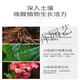 Tianhua Phosphate Fertilizer Flower Superphosphate Flower Fertilizer Vegetable Fertilizer Root Strengthening Fertilizer Soil Fertilizer Chemical Fertilizer Vegetable Farmer Phosphate Fertilizer Granules 20Jin Jin is equal to 0.5kg divided into 2 packages