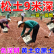 Deep plowing to 5 meters, loosening essence, loosening fertilizer, soil conditioner, saline-alkali land conditioning, drought loosening and anti-loosening agent, 1 bag per acre, powerful loosening essence