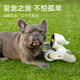 Loona Intelligent Machine Dog Children's Learning Robot Cloud Command Robot Toys Robot Toys Hogar Hogar Voice Voice Regalos de juguete interactivos de alta tecnología Estándar [Loona Robot + Game Props]