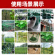 Dutch wire mesh fence protective net breeding net cattle fence net isolation net chicken duck goose iron mesh plastic coated fence 1.2 meters high * 30 meters long 6 cm mesh 3.0 mm thick circle corn vegetables
