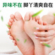 Lishikang Foot Odor Powder removes stinky feet, sweats, relieves itchiness, peeling and rotten feet, the nemesis of sweaty feet, soaks feet and spreads shoe odor powder 30 packs