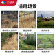 Lan Jingtian 30% dripping acid glyphosate wasteland courtyard orchard weed dead root rotten root pesticide herbicide 500g/bottle J0035