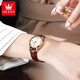 Olevs Brand Watches Women's Mechanical Watch Temperamento simple Watch Women's Women's Luminoso Hollow Hollow Diamond Diamond Set Watch Women's 6629 mejorado Versión mejorada de cuero marrón