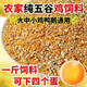 OIMG corn kernels for chicken feed, laying hens, full price feed, chicken, duck, goose, quail 100Jin, Jin is equal to 0.5kg, chicken food formula 50.08Jin, Jin is equal to 0.5kg, express delivery to towns and villages, chicken, duck, goose, quail