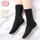 Langsha short stockings for women, velvet, spring and autumn, medium-thick, wear-resistant, not easy to snag, winter, medium-length black flesh-colored short socks