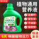 Plant nutrient solution, universal money tree dead leaves, yellow leaves and rotten roots, household flower fertilizer, special concentrated fertilizer for potted flowers, buy two, get one free, send 3 bottles