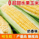 Super sweet fruit corn seeds, big sticks, early maturing, sweet and glutinous, eaten raw in the field all year round. Can be eaten raw. Super sweet fruit corn seeds, artificially selected new species. About 153 seeds (3 packs+)