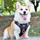 Jiahuide Dog Leash Vest Style Dog Walking Rope Shiba Inu Corgi Explosion-proof Harness Harness Small and Medium Dog Chain Colorful Black Harness + 2 Meter Reflective Dog Rope M Size Recommended 15-30 Jin Jin equals 0.5 kg for dogs