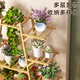 Anya flower rack indoor multi-layer storage rack floor-standing assembly balcony decorative flower pot rack pothos succulent