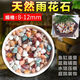 Runhua Nian five-color small stone hydroponic tulip bottom flower cultivation stone succulent paving stone Wuhua stone 8-12mm 5Jin Jin equals 0.5kg (package)