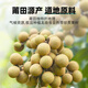 渭水鸿桂圆肉250g【胖东来同款】无核免剥9A特级新货龙眼枸杞红枣中药材