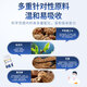 Легенда Beitong Gastrodia Eucommia angelica ulmoides ulmoides