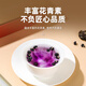 Tongrentang brand Beijing Tongrentang black fruit and wolfberry gift box 160g as a gift for parents and elders, new year's tonic