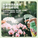 Shikofeng orchid multi-arrow special fertilizer promotes germination, budding and flowering nutrient solution to promote flowering fertilizer spray without dilution for rooting