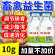 Baiyi bacteria rapid fermentation strain veterinary feed additives for pigs, cattle, sheep, chickens, ducks, fish and shrimp genuine concentrated Baiyi bacteria Baiyi bacteria 10g/bottle*1 bottle breeding without diarrhea