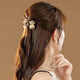 Two Worlds Half-tied Hair Clip for Women with Small Hair Volume 2025 High-end Korean Style Mesh Small Size Bangs Broken Hair Clip Hair Accessory Hair Clamp Champagne Coffee Small Clip