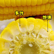 Ice cream fruit corn seeds delicious super sweet popsicles raw fresh rock sugar crispy waxy corn seeds 400g can Golden Crown 597