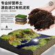 Original starting point 3.5L nutrient soil for flower cultivation, general purpose for growing vegetables, imported peat organic soil planting soil (added with Austrian green manure)