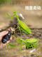 
Xiaoyan Remote Control Mantis Electric Simulation Toy Douyin Prank Artifact Cockroach Boys Moving Spider Crawling Small Animal Classic Version - Remote Control Ladybug Red Model 9922 Official Standard