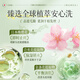 Dr. Jiao Japan Fett Donglai Shampoo Ölkontrolle Flauschige Frauen-Duft-Entfernung Schuppen Anti-Ownino-Aminosäure Shampoo Tau Flüssigkeit