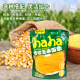 Yishu Food Corn Noodles 880g Northeast Malatang Mixed Grain Noodles Hotpot Beef Tendon Noodles Convenient and Quick Food