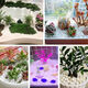 Runhuanian small white stone succulent paving stone flower cultivation pebbles rain flower stone fish tank landscaping basin fine full white stone 3-6mm 1Jin Jin is equal to 0.5 kg