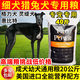 He Jian Gong Fine Dog Hound Special Dog Food Whippet Gree Greyhound Large Packaging 40 Jin Jin equals 0.5 kg Universal adult puppy food Puppy special dog food 10 Jin Jin equals 0.5 kg 1-6 months puppies 1lb