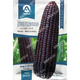 White, sweet and waxy corn seeds, high-yielding, sown in all seasons, white and waxy corn, non-transferable, national-approved, farmers’ super-sweet and waxy corn seeds, Jinuo 20 corn seeds, 100g, 1 bag