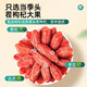 Zhengyeshan Authentic Ningxia Wolfberry Special Wolfberry 500 g große Partikel Freiflügel Bio gebrautes Tee Red Wolfbeerschwefelfrei nähren [Spezialgrad 280 Partikel/50 g] Ningxia Wolfberry 250 g [Ningxia Wolfberry Special Grade]