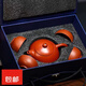 The same model as Fat Donglai, recommended by Yangma, small portable tea set for home use, complete Kung Fu tea set, Zhu Ni